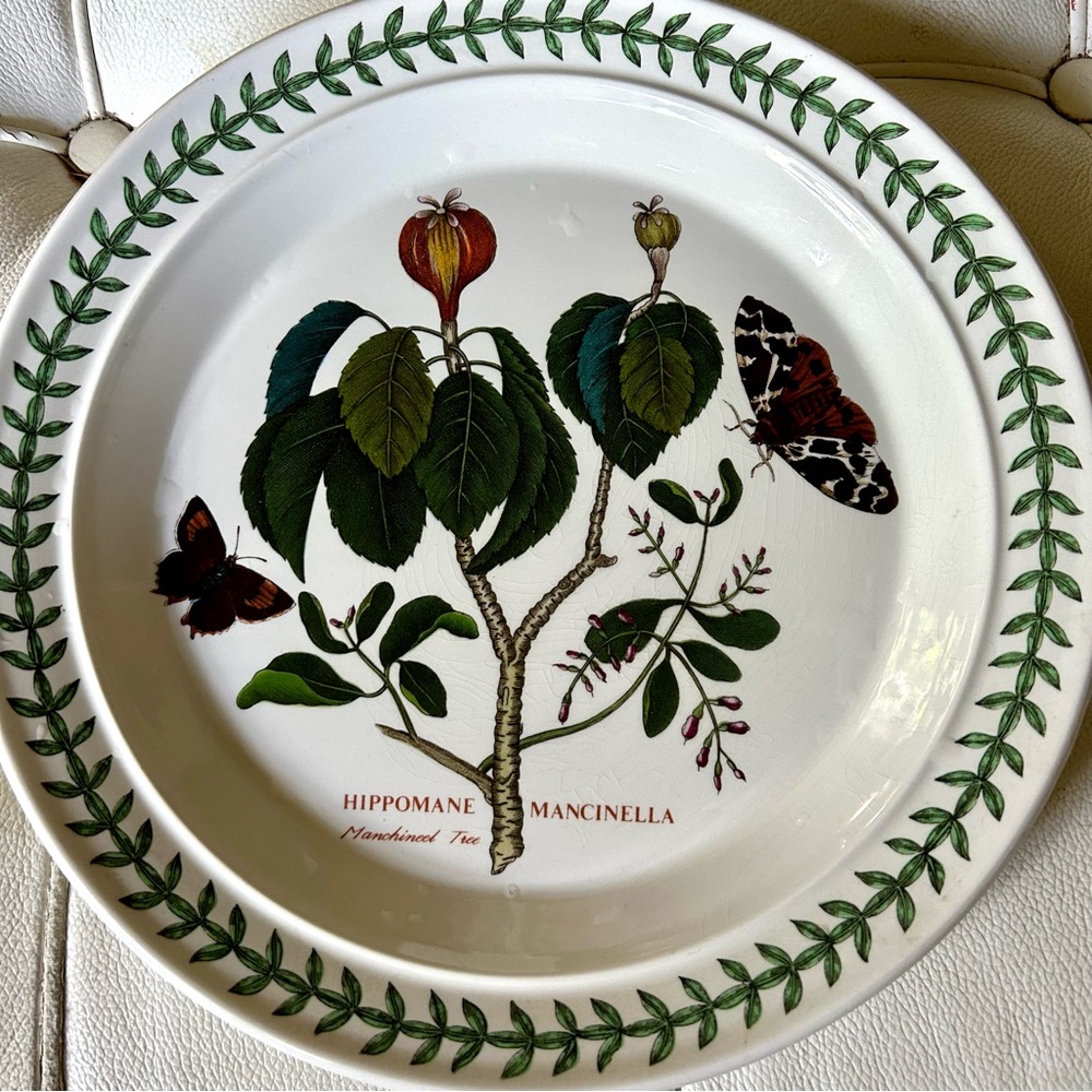 Portmeirion plate botanical and butterfly plate made in England good condition